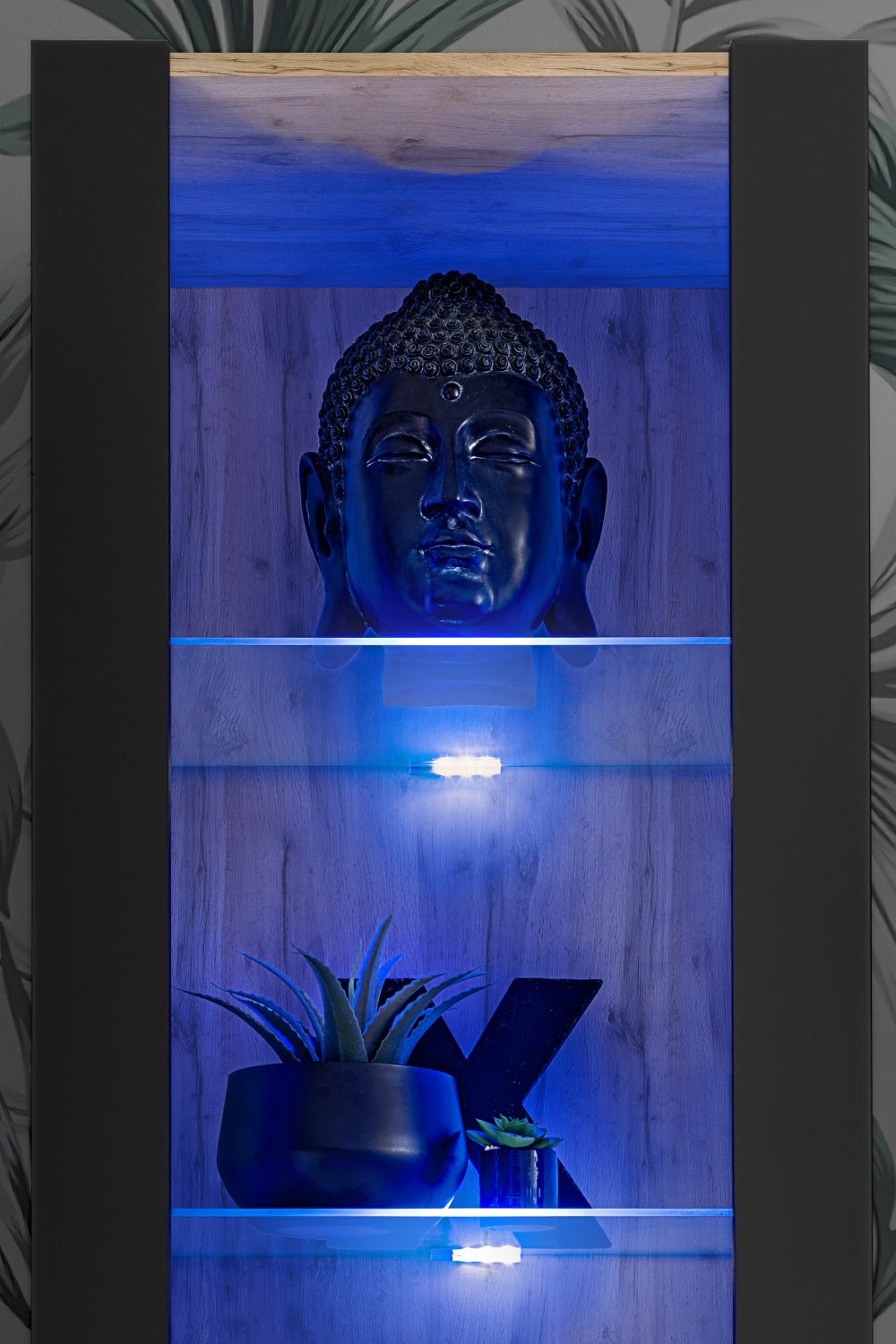 Tivoli Schrank, Schwarz/Wotan RGB LED Beleuchtung – Bild 4